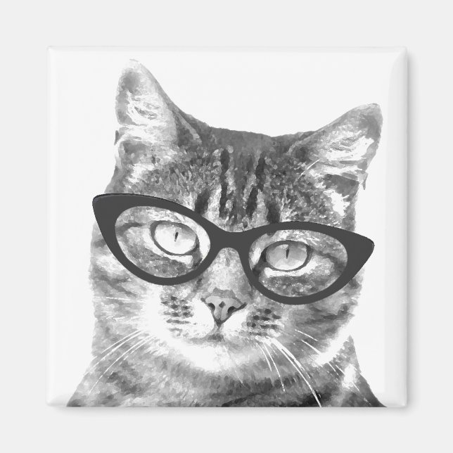 Funny cat photo magnets (Front)