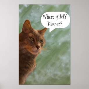 Funny Cat Photo Poster