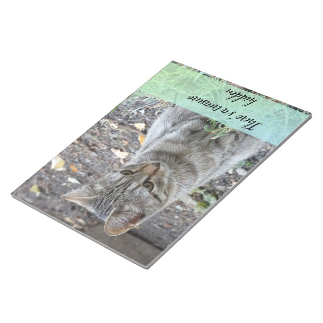 Funny Cat Photography Notepad (Angled)