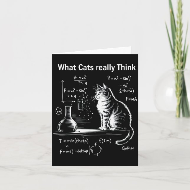 Funny Cat Physics Humor Design What Cats Really Th Card (Front)