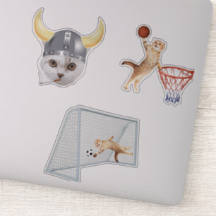 Funny Cat Playing Basketball