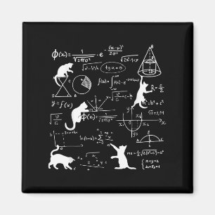 Funny Cat Playing With Math Formulas Kitten Cat An Magnet