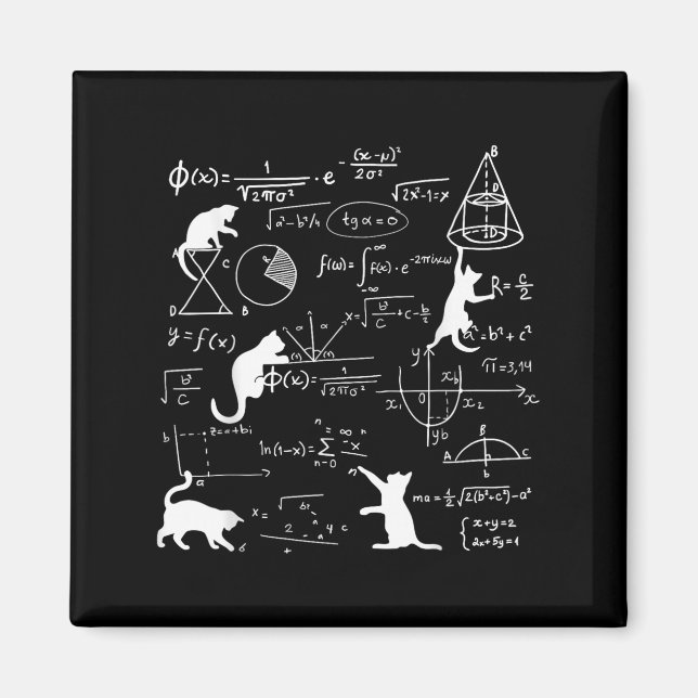 Funny Cat Playing With Math Formulas Kitten Cat An Magnet (Front)