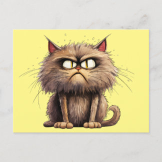 Funny Cat Postcard