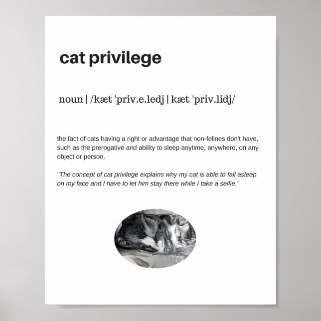 Funny cat privilege sleep selfie poster matte (Front)