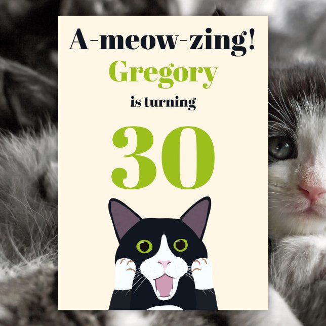 Funny cat pun 30th birthday party invitation (Creator Uploaded)