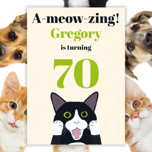 Funny cat pun 70th birthday party invitation
