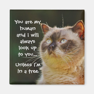 Funny Cat Quote Look Up To You Magnet