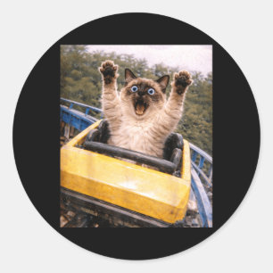 Funny Cat Roller Coaster Silly Meme Graphic Classic Round Sticker