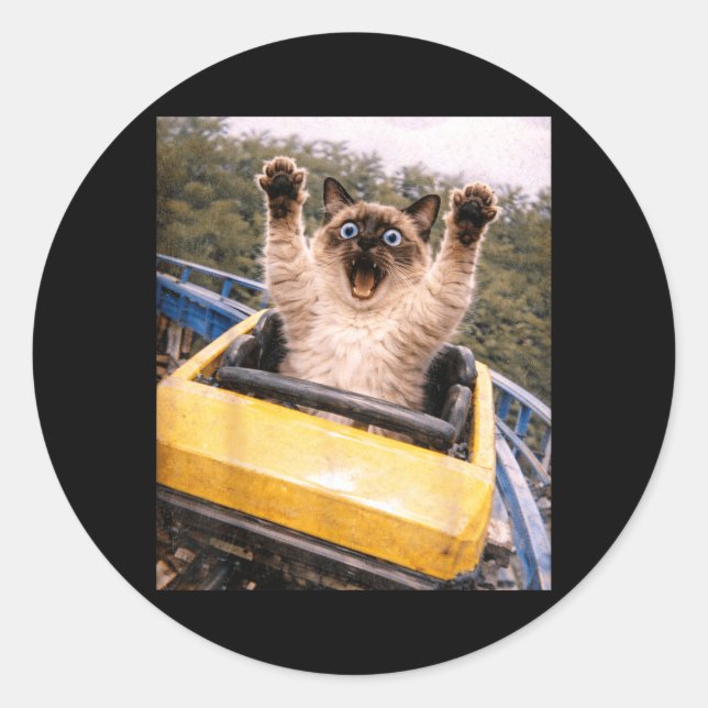 Funny Cat Roller Coaster Silly Meme Graphic Classic Round Sticker (Front)