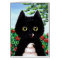 Funny Cat Roses Floral Creationarts