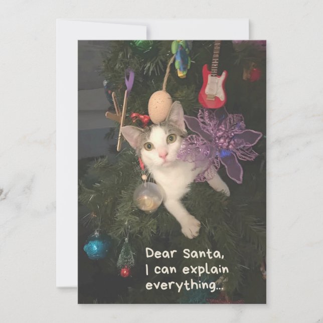 Funny Cat Santa I Can Explain Everything Christmas Holiday Card (Front)