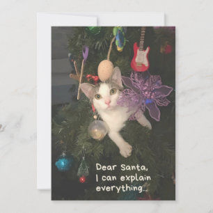 Funny Cat Santa I Can Explain Everything Christmas Holiday Card