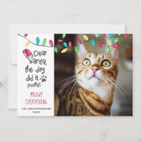 Funny Cat Saying Bright Holiday Lights Photo