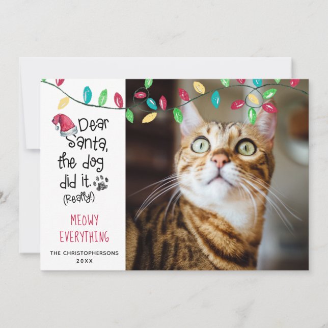 Funny Cat Saying Bright Holiday Lights Photo Card (Front)