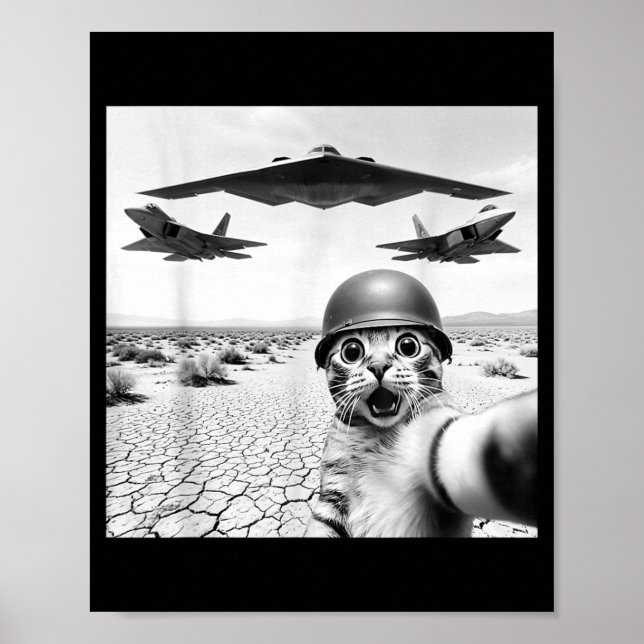 Funny Cat Selfie with American Fighters Jets 4th Poster (Front)