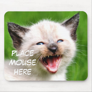 Funny Cat Siamese Kitten Place Mouse Here Mouse Pad