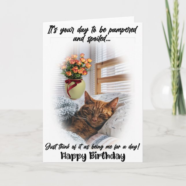 Funny Cat Sleeping Birthday Greeting Card  (Front)