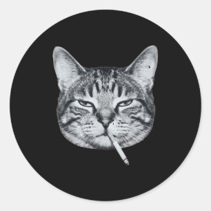 Funny cat smoking cigarette tabby cat meme brainro classic round sticker