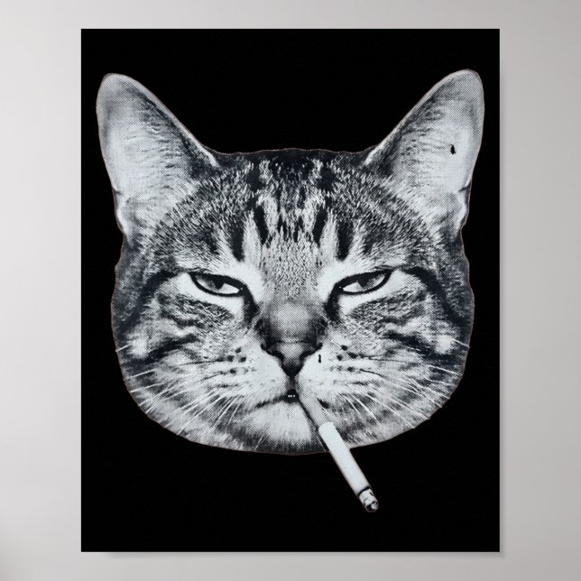 Funny cat smoking cigarette tabby cat meme brainro poster (Front)