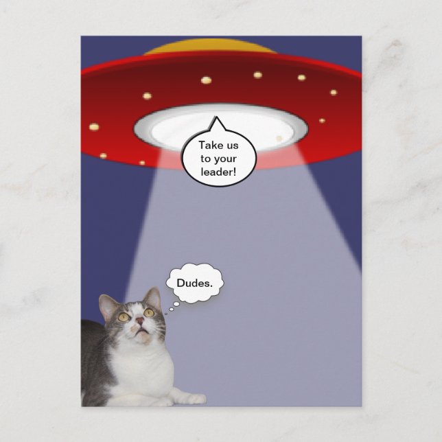 Funny Cat & Spaceship Postcard (Front)