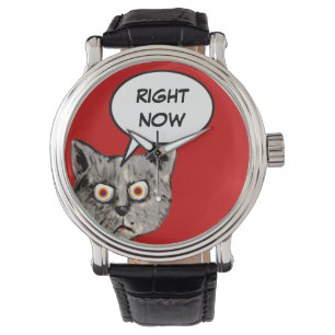 funny cat speech balloon right now watch