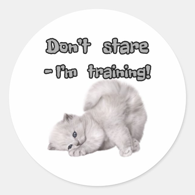 Funny Cat Sticker  (Front)