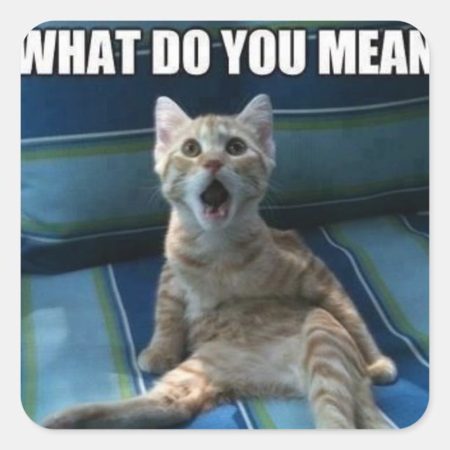 Funny cat stickers (Front)