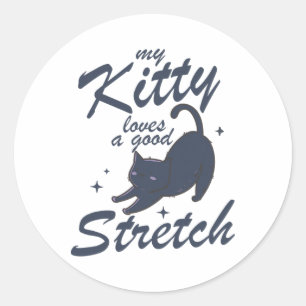 Funny Cat Stretch Shirt – Cute Kitty Yoga Gift Tee Classic Round Sticker
