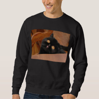 Funny Cat Sweatshirt