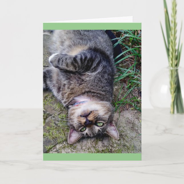Funny Cat TENS unit Card (Front)