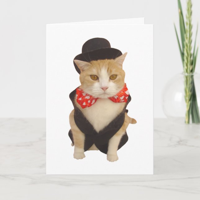 Funny Cat Valentine Holiday Card (Front)