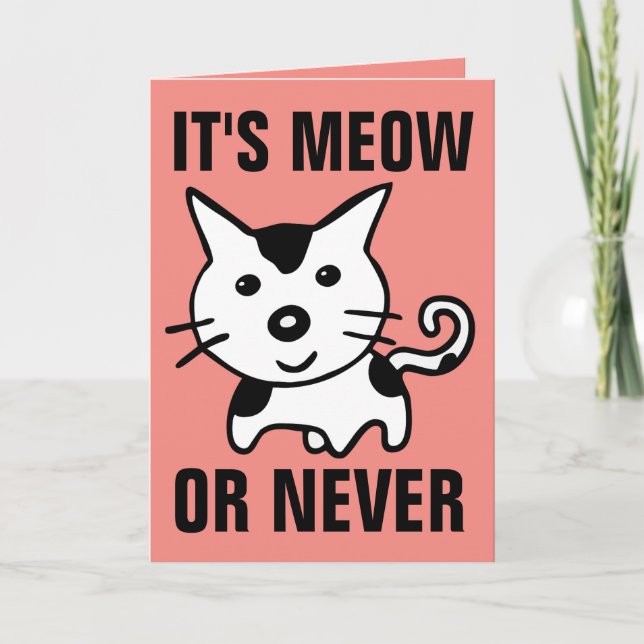 FUNNY CAT VALENTINE'S DAY GREETING CARDS (Front)