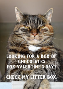 Meme Valentine Gifts On Zazzle Au