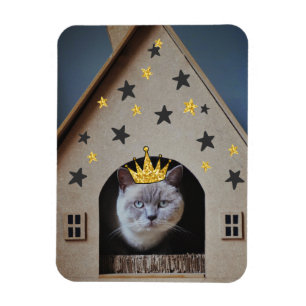 Funny Cat Wearing Golden Glitter Bling Crown Magnet