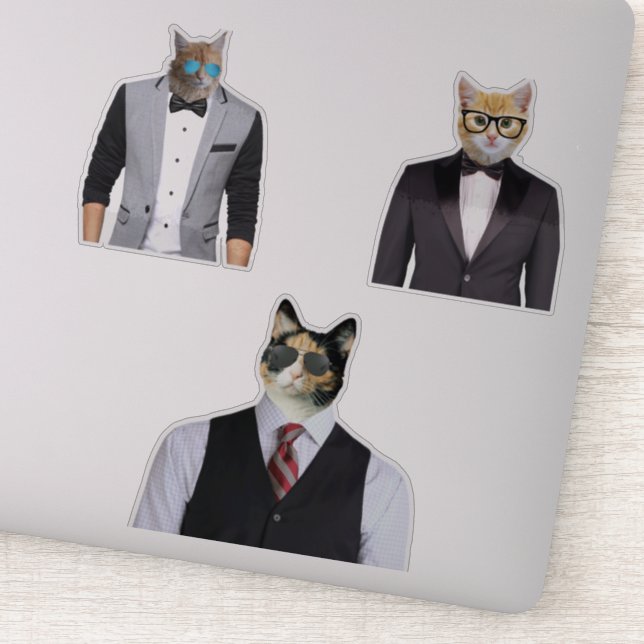 Funny Cat Wearing Suit (Detail)