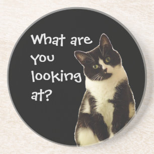 Funny Cat "What are you looking at!" Coaster