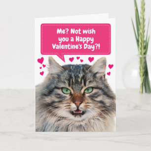Funny Cat Wishing You a Happy Valentine's Day Card