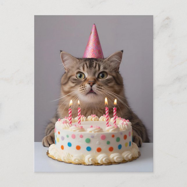 Funny cat with birthday cake postcard (Front)