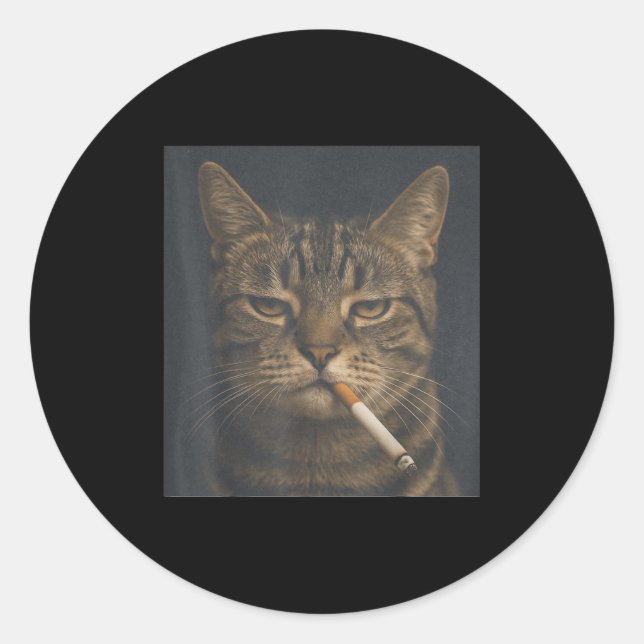 Funny Cat With Cigarette Sarcastic Meme Smoking Ca Classic Round Sticker (Front)