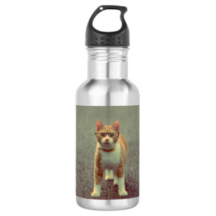 Funny cat with glasses 532 ml water bottle