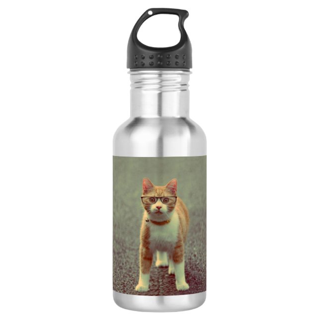 Funny cat with glasses 532 ml water bottle (Front)