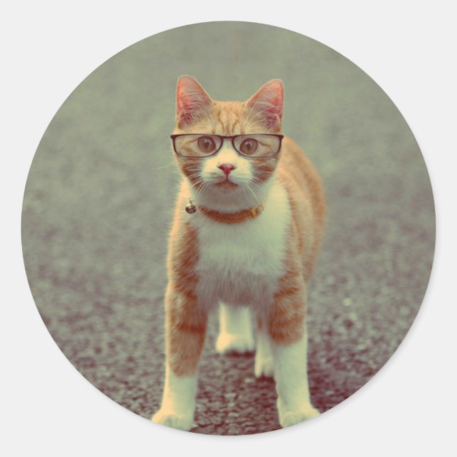 Funny cat with glasses classic round sticker (Front)