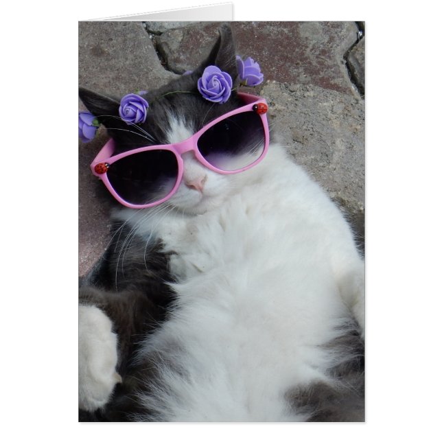 Funny cat with pink glasses (Front)