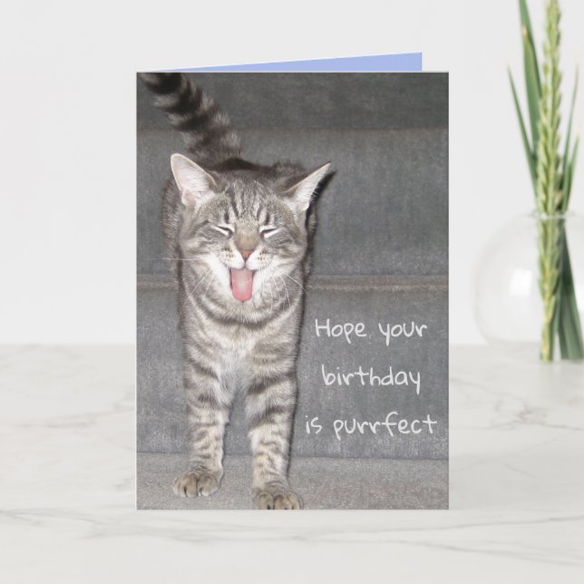 Funny Cat Yawning Birthday Card (Front)