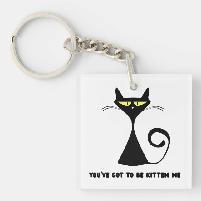 Funny cat "You’ve got to be kitten me" Key Ring (Front)