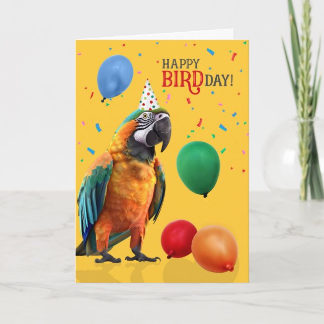 Funny Catalina or Rainbow Macaw Parrot Birthday Card (Front)