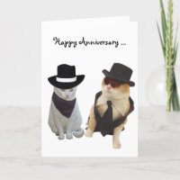 Funny Cats Anniversary