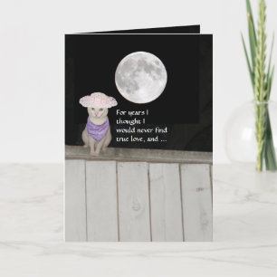 Funny Cats Anniversary for Husband Card