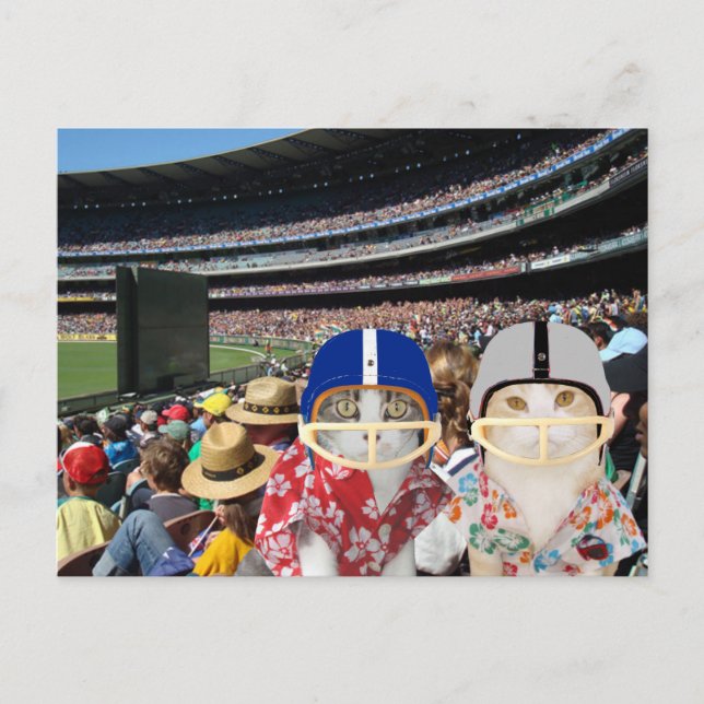 Funny Cats at the Big Game Postcard (Front)